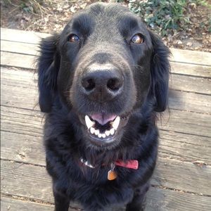 Meet your Posher, Clay